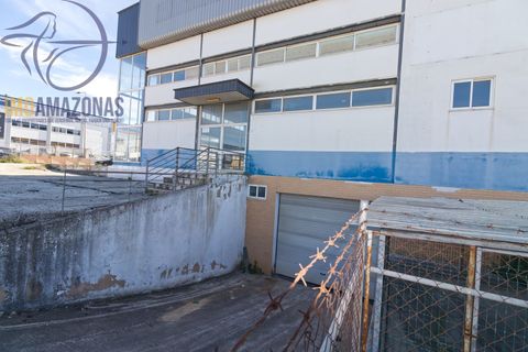 Erhvervsejendom i Lagoa, Faro, Lagoa - € 1.300.000 | Ref: 07-499 - foto 4