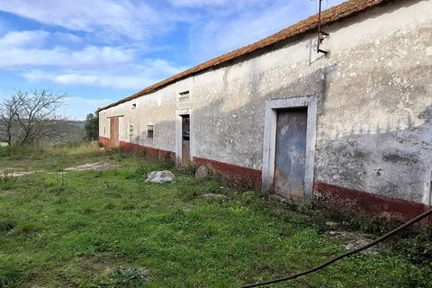 Gård i Assentiz, Santarem, Assentiz - € 670 000 | Ref: SF-SAFTI:008028 - foto 4