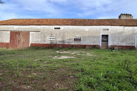Gård i Assentiz, Santarem, Assentiz - € 670 000 | Ref: SF-SAFTI:008028 - foto 5
