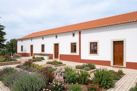 Gård i Assentiz, Santarem, Assentiz - € 670 000 | Ref: SF-SAFTI:008028 - foto 8