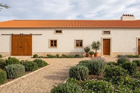 Gård i Assentiz, Santarem, Assentiz - € 670 000 | Ref: SF-SAFTI:008028 - foto 10