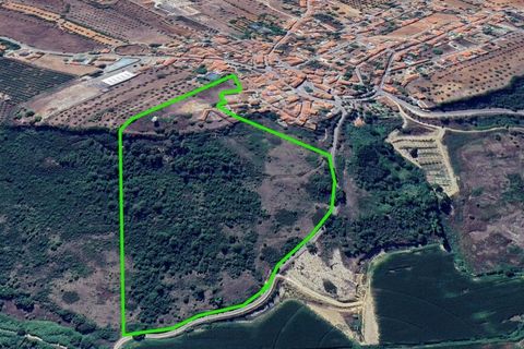 Gård i Assentiz, Santarem, Assentiz - € 670 000 | Ref: SF-SAFTI:008028 - foto 12