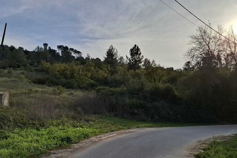 Gård i Assentiz, Santarem, Assentiz - € 670 000 | Ref: SF-SAFTI:008028 - foto 14