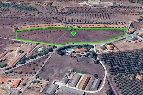 Helårsgrund i Assentiz, Santarem, Assentiz - € 175.000 | Ref: SF-SAFTI:008030 - foto 1