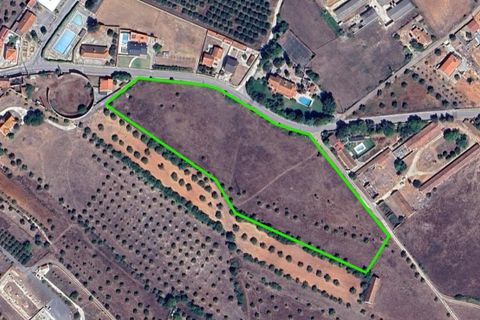 Helårsgrund i Assentiz, Santarem, Assentiz - € 175.000 | Ref: SF-SAFTI:008030 - foto 2