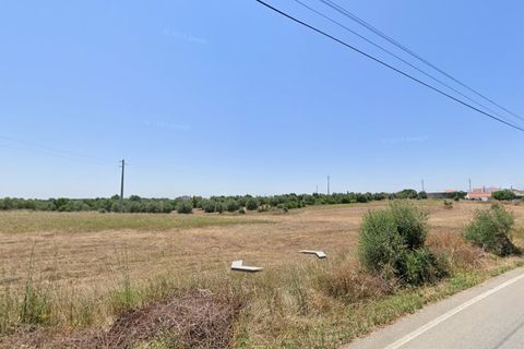 Helårsgrund i Assentiz, Santarem, Assentiz - € 175.000 | Ref: SF-SAFTI:008030 - foto 3