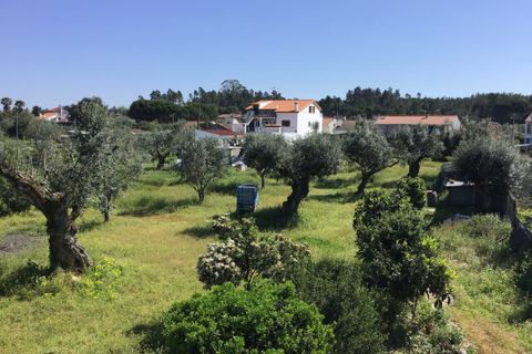 Villa i Alvega e Concavada, Santarem, Alvega e Concavada - € 110.000 | Ref: SF-SAFTI:008045 - foto 3