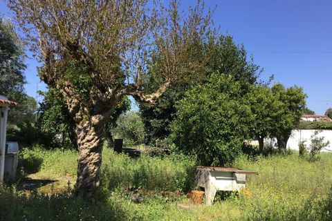 Villa i Alvega e Concavada, Santarem, Alvega e Concavada - € 110.000 | Ref: SF-SAFTI:008045 - foto 16
