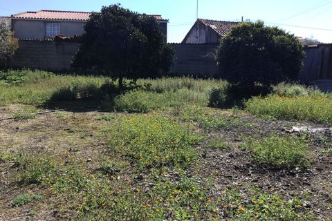 Villa i Alvega e Concavada, Santarem, Alvega e Concavada - € 110.000 | Ref: SF-SAFTI:008045 - foto 17