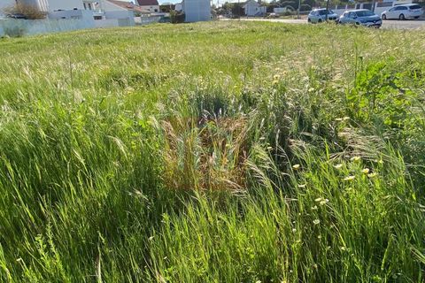 Terra a Samouco, Setubal, Samouco - € 1.500.000 | Ref: HA600 - foto 4