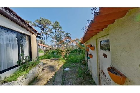 Villa i Almocageme, Lisbon, Almocageme - € 345.000 | Ref: PP5887 - foto 4