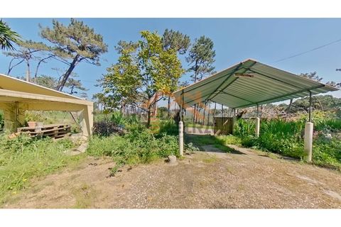 Villa i Almocageme, Lisbon, Almocageme - € 345.000 | Ref: PP5887 - foto 5