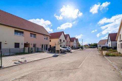 Terra a Rountzenheim, Bas-Rhin, Rountzenheim - € 119.000 | Ref: PG014297-_37 - foto 3