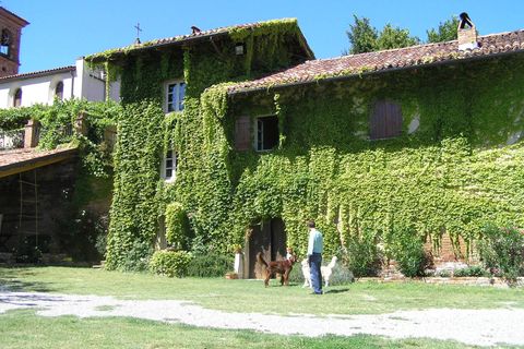 Landejendom i Cocconato, Asti, Cocconato - € 1.300.000 | Ref: 14356 - foto 4