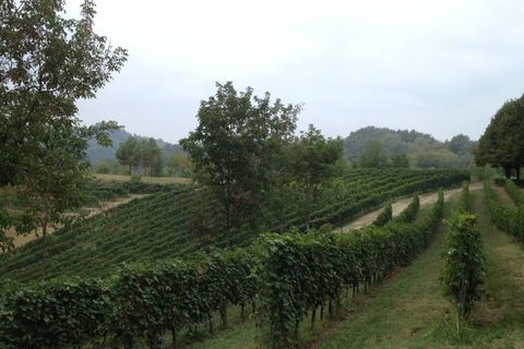 Landejendom i Cocconato, Asti, Cocconato - € 1.300.000 | Ref: 14356 - foto 8