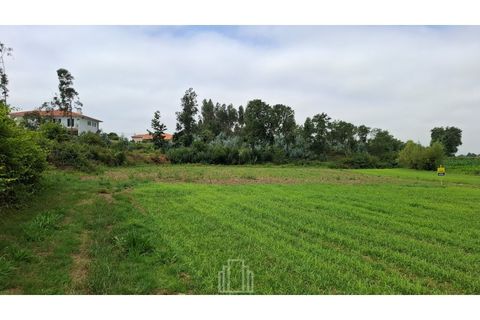 Grundstück in Ovar, Aveiro, Ovar - € 10.000 | Ref: 382-OVR - Foto 2
