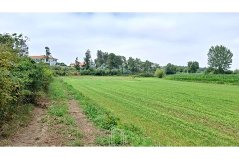 Grundstück in Ovar, Aveiro, Ovar - € 10.000 | Ref: 382-OVR - Foto 3