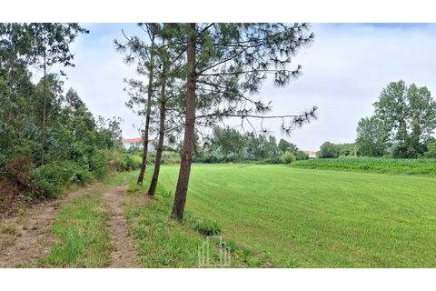Grundstück in Ovar, Aveiro, Ovar - € 10.000 | Ref: 382-OVR - Foto 4