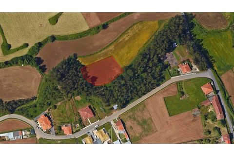 Grundstück in Ovar, Aveiro, Ovar - € 10.000 | Ref: 382-OVR - Foto 7