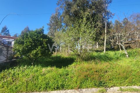 Terra a Agueda, Aveiro, Agueda - € 24.500 | Ref: AV2876 - foto 4