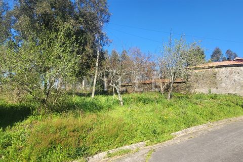Terra a Agueda, Aveiro, Agueda - € 24.500 | Ref: AV2876 - foto 5