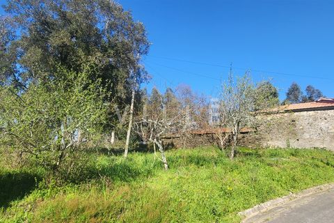 Terra a Agueda, Aveiro, Agueda - € 24.500 | Ref: AV2876 - foto 6