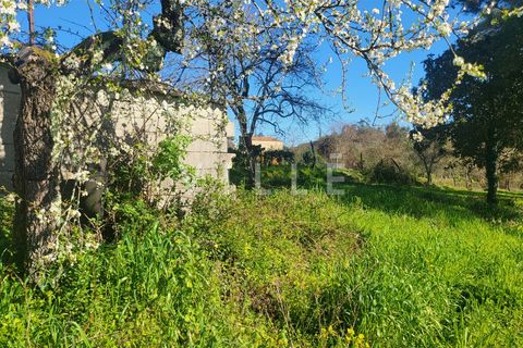 Terra a Agueda, Aveiro, Agueda - € 24.500 | Ref: AV2876 - foto 7