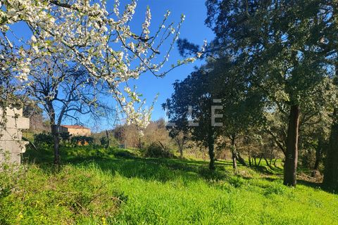 Terra a Agueda, Aveiro, Agueda - € 24.500 | Ref: AV2876 - foto 8
