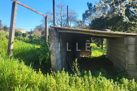 Terra a Agueda, Aveiro, Agueda - € 24.500 | Ref: AV2876 - foto 19