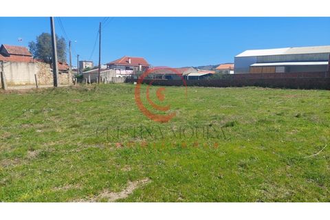 Helårsgrund i Chaves, Vila Real, Chaves - € 70.000 | Ref: CM01-0195 - foto 6