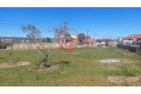Helårsgrund i Chaves, Vila Real, Chaves - € 70.000 | Ref: CM01-0195 - foto 10
