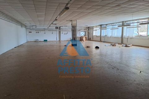 L'establiment comercial a Capraia e Limite, Florence, Capraia e Limite - € 2.700/mes | Ref: II6247 - foto 4