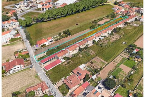 Helårsgrund i Ilhavo, Aveiro, Ilhavo - € 99.500 | Ref: KWPT-030523 - foto 7