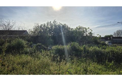 Helårsgrund i Ilhavo, Aveiro, Ilhavo - € 99.500 | Ref: KWPT-030523 - foto 2