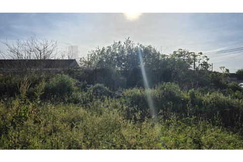 Helårsgrund i Ilhavo, Aveiro, Ilhavo - € 99.500 | Ref: KWPT-030523 - foto 4