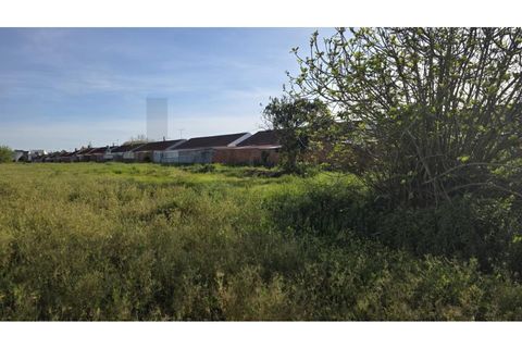 Helårsgrund i Ilhavo, Aveiro, Ilhavo - € 99.500 | Ref: KWPT-030523 - foto 5
