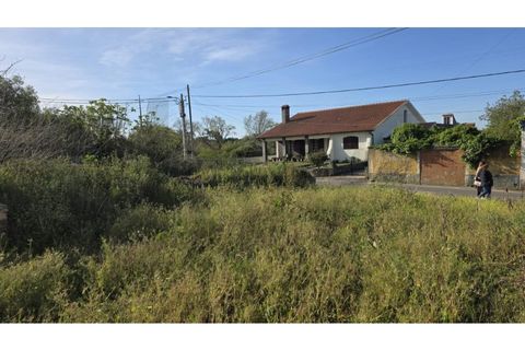 Helårsgrund i Ilhavo, Aveiro, Ilhavo - € 99.500 | Ref: KWPT-030523 - foto 6