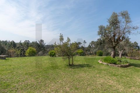 Villa a Santo Andre, Setubal, Santo Andre - € 385.000 | Ref: KWPT-030387 - foto 41