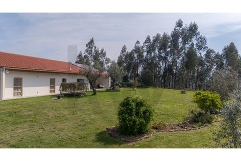 Villa a Santo Andre, Setubal, Santo Andre - € 385.000 | Ref: KWPT-030387 - foto 46