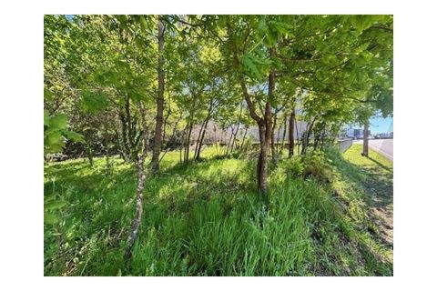 Helårsgrund i Agueda, Aveiro, Agueda - € 60.000 | Ref: KWPT-030518 - foto 3