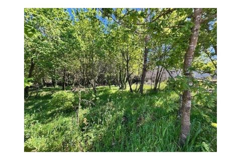 Helårsgrund i Agueda, Aveiro, Agueda - € 60.000 | Ref: KWPT-030518 - foto 5