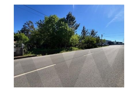 Helårsgrund i Agueda, Aveiro, Agueda - € 60.000 | Ref: KWPT-030518 - foto 6
