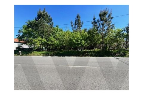 Helårsgrund i Agueda, Aveiro, Agueda - € 60.000 | Ref: KWPT-030518 - foto 8