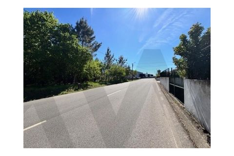 Helårsgrund i Agueda, Aveiro, Agueda - € 60.000 | Ref: KWPT-030518 - foto 11