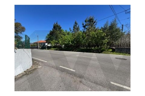 Helårsgrund i Agueda, Aveiro, Agueda - € 60.000 | Ref: KWPT-030518 - foto 12