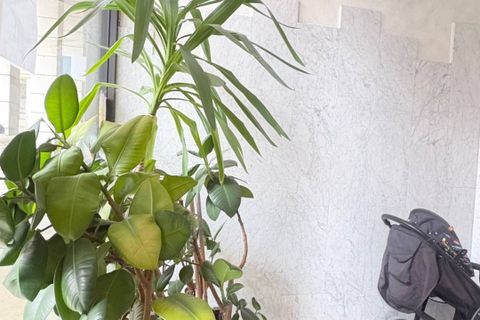 Lejlighed i Mantua, Mantua, Mantua - € 57.000 | Ref: 6378 - foto 1