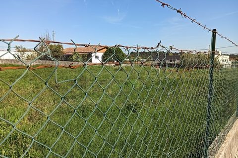 Helårsgrund i Oia, Aveiro, Oia - € 40.000 | Ref: AV26/040 - foto 16