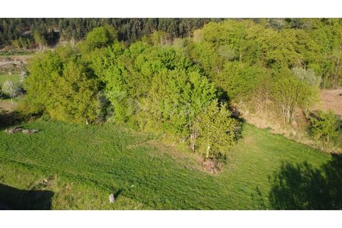 Helårsgrund i Gandra e Taiao, Viana do Castelo, Gandra e Taiao - € 295.000 | Ref: 2801 - foto 2