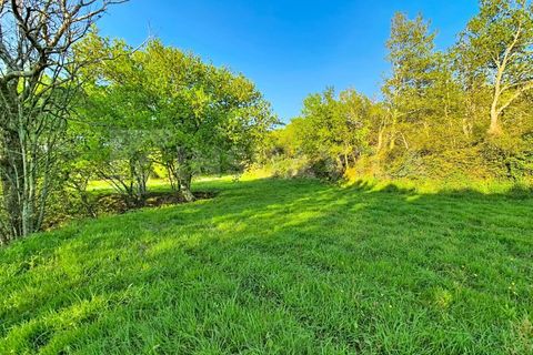 Helårsgrund i Gandra e Taiao, Viana do Castelo, Gandra e Taiao - € 295.000 | Ref: 2801 - foto 5