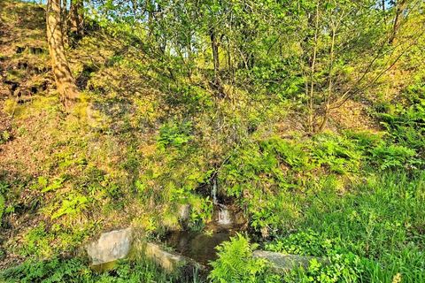 Helårsgrund i Gandra e Taiao, Viana do Castelo, Gandra e Taiao - € 295.000 | Ref: 2801 - foto 8